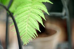 展示ブース集客方法を提案するデザインオフィス